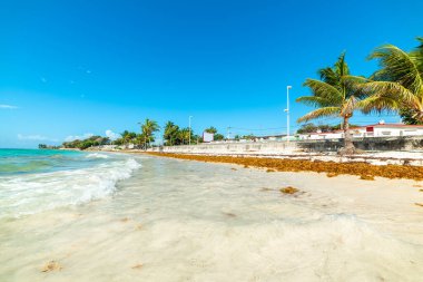 Turkuaz su ve Raisins Clairs plajında beyaz kum. Guadeloupe, Karayip Denizi