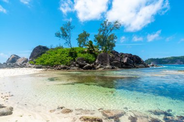 Güneşli bir günde Port Glaud plajı. Mahe Adası, Seyşeller