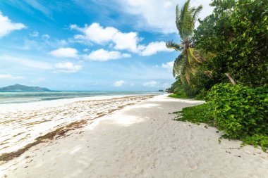 Dünyaca ünlü Anse Source d 'Argent' ta beyaz kum ve palmiye ağaçları. La DIgue Adası, Seyşeller