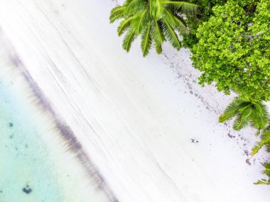 Anse Madge plajında yalnız bir adamın hava görüntüsü. Praslin Adası, Seyşeller