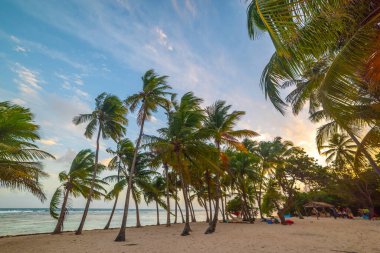 Bois Jolan plajında renkli bir gün batımı. Guadeloupe, Karayip Denizi