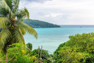 Anse a la Moche sahilinde palmiye ağaçları ve turkuaz su. Mahe Adası, Seyşeller