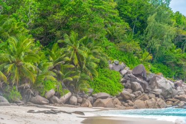 Anse Georgette 'de kayalar, palmiyeler ve beyaz kumlar. Praslin Adası, Seyşeller