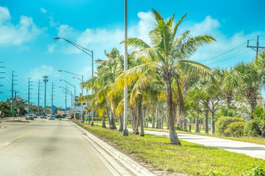 Güneşli bir günde Marathon Key 'de araba kullanmak. Florida Keys, ABD