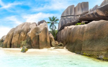 Büyük granit kayalar ve dünyaca ünlü Anse Source d 'Argent plajında palmiye ağaçları. Seyşeller 'deki La Digue Adası