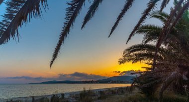 Gün batımında Alghero 'da deniz kenarında palmiye ağacı. Sardunya, İtalya