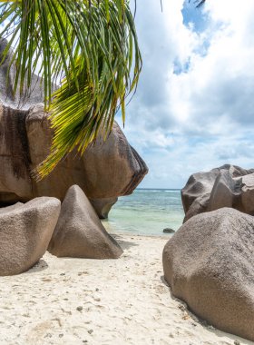 Anse Source d 'Argent' ta deniz kenarındaki granit kayalar ve palmiye ağaçları. La Digue, Seyşeller