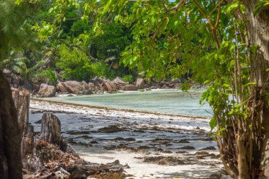 Anse Şiddetli Sahili 'nde tropik bitki örtüsü ve deniz kenarındaki granit kayalar. Seyşeller 'deki La Digue Adası