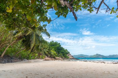 Güzel Anse 'de beyaz kum La Digue adasında, Seyşeller