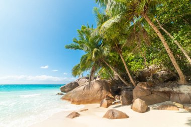 Dünyaca ünlü Anse Lazio 'da deniz kenarındaki granit kayalar ve palmiye ağaçları. Praslin Adası, Seyşeller