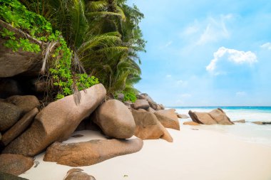Güneşli bir günde Anse Georgette plajı. Praslin Adası, Seyşeller