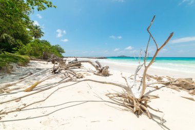 Praslin Adası, Seyşeller 'deki Anse Kerlan plajında kum üzerinde sürüklenen dalgalar