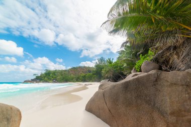 Anse Georgette sahilinde kayalar ve palmiyeler. Praslin Adası, Seyşeller