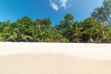 Anse Lazio kıyısı sudan görüldü. Praslin Adası, Seyşeller