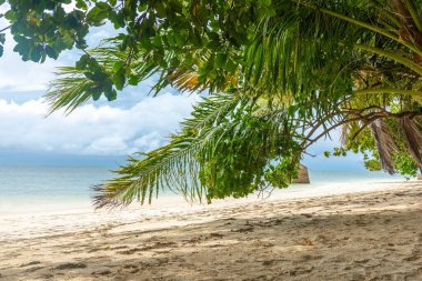 Praslin Adası, Seyşeller 'deki Anse Citron Sahili