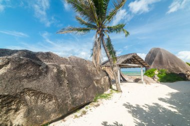 Anse Kaynak d 'Argent plajında deniz kenarında kumlu bir yol. Seyşeller 'deki La Digue Adası