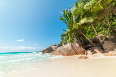 Anse Lazio plajı mavi gökyüzünün altında. Praslin Adası, Seyşeller