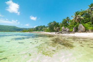 Anse Royale plajı sudan görüldü. Mahe Adası, Seyşeller