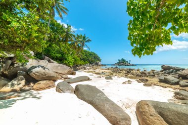Anse Royale plajı mavi gökyüzünün altında. Mahe Adası, Seyşeller
