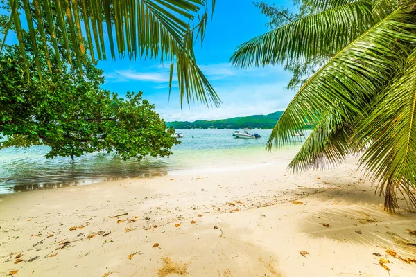 Anse Madge sahilinde tekneler. Praslin Adası, Seyşeller