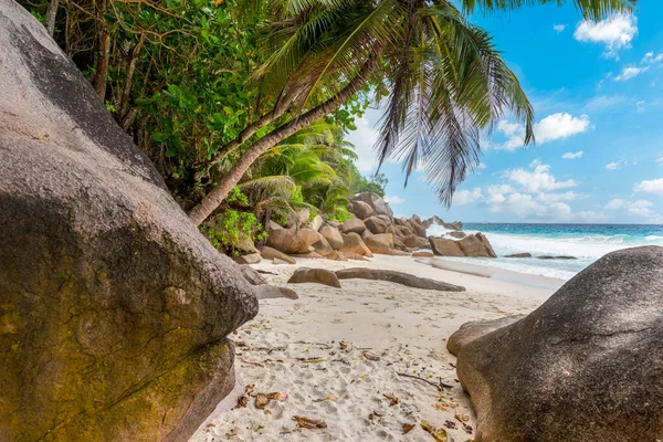 Praslin Adası, Seyşeller 'deki Anse Georgette plajında deniz kenarındaki kayalar.