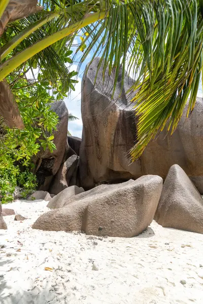 Anse Source d 'Argent plajında granit kayalar ve palmiye ağaçları. Seyşeller 'deki La Digue Adası