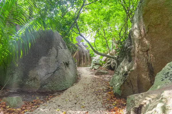 Sandy path with granite rocks and tropical vegetation in Anse Source d\'Argent. La Digue, Seychelles