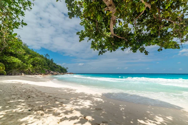 Tyrkysová Voda Pláži Anse Georgette Ostrov Praslin Seychely Stock Snímky