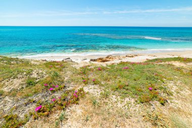 Güneşli bir günde San Giovanni di Sinis plajı. Sardunya, İtalya