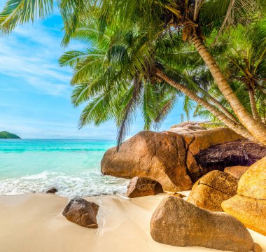 Dünyaca ünlü Anse Lazio 'da deniz kenarındaki kayalar ve palmiye ağaçları. Praslin Adası, Seyşeller