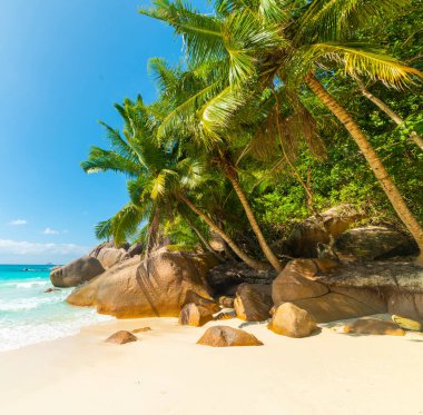 Dünyaca ünlü Anse Lazio Praslin adasında mavi gökyüzünün altında, Seyşeller