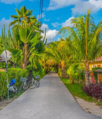 La Digue 'de dar bir sokakta, mavi gökyüzünün altında, Seyşeller.