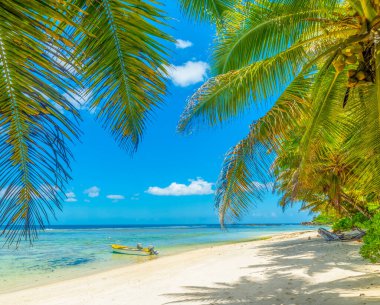 Anse Forbans sahilinde tahta tekne ve palmiye ağaçları. Mahe Adası, Seyşeller