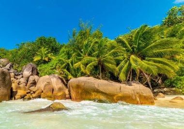 Anse Lazio 'da deniz kenarındaki granit kayalar ve palmiye ağaçları. Praslin Adası, Seyşeller