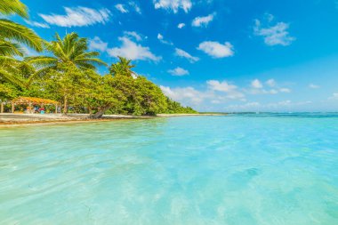 Guadeloupe Bois Jolan plajrenkli sahil, Fransız batı hint adaları. Küçük Antiller, Karayip denizi