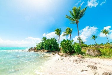 Guadeloupe Güzel Bas du Fort plaj, Fransız batı hint adaları. Küçük Antiller, Karayip denizi