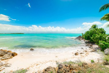 Guadeloupe Bas du Fort plajda berrak su ve mavi gökyüzü, Fransız batı hint adaları. Küçük Antiller, Karayip denizi
