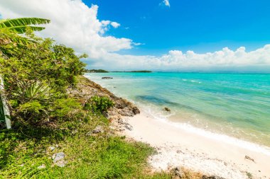 Guadeloupe Bas du Fort kıyısında Turkuaz deniz, Fransız batı hint adaları. Küçük Antiller, Karayip denizi