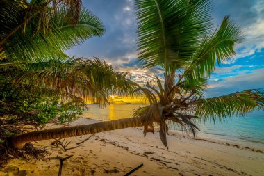 Praslin adasındaki Grande Anse plajında gün batımı, Seyşeller