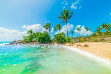 Guadeloupe'daki Bas du Fort kıyısı, Fransız batı hint adaları. Küçük Antiller, Karayip denizi