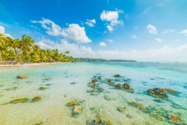 Guadeloupe La Caravelle plajda berrak su, Fransız batı hint adaları. Küçük Antiller, Karayip denizi