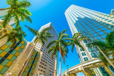 Güneşli bir günde Miami şehir merkezinde gökdelenler ve palmiye ağaçları. Southern Florida, Amerika Birleşik Devletleri