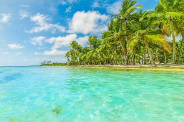 Guadeloupe Bois Jolan plaj, Fransız batı hint adaları. Küçük Antiller, Karayip denizi
