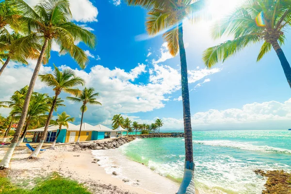 Solen Skiner Över Vackra Bas Fort Beach Guadeloupe Franska Västindien Royaltyfria Stockbilder