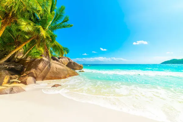 Água Azul Turquesa Praia Anse Lazio Ilha Praslin Seychelles Imagem De Stock