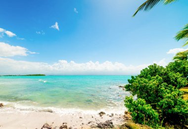 Guadeloupe, Fransız Batı Hint Adaları 'ndaki Le Gosier' de renkli bir sahil. Daha Küçük Antiller, Karayip Denizi
