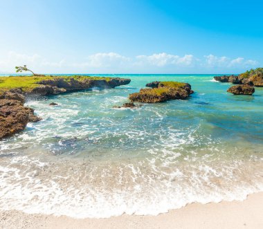 Guadeloupe Bas du Fort renkli kıyı, Fransız batı hint adaları. Küçük Antiller, Karayip denizi