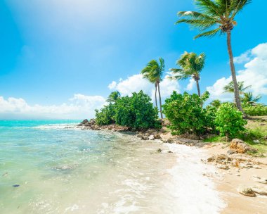 Guadeloupe Bas du Fort plajrenkli kıyı, Fransız batı hint adaları. Küçük Antiller, Karayip denizi