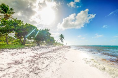 Guadeloupe' de Le Moule sahilinde parlayan güneş, Fransız batı hint adaları. Küçük Antiller, Karayip denizi