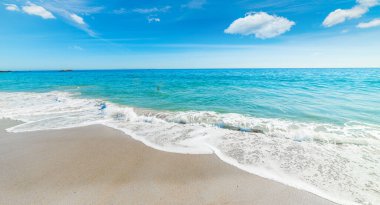 Laguna Beach, California güzel kıyı